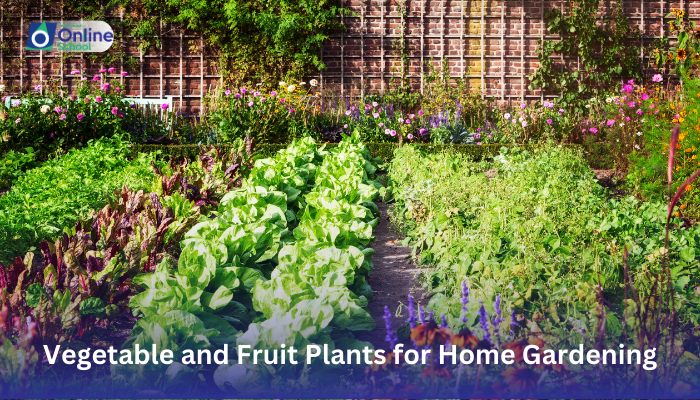 Lesson 10: Identifying Seasonal Vegetable and Fruit Plants for Home Gardening